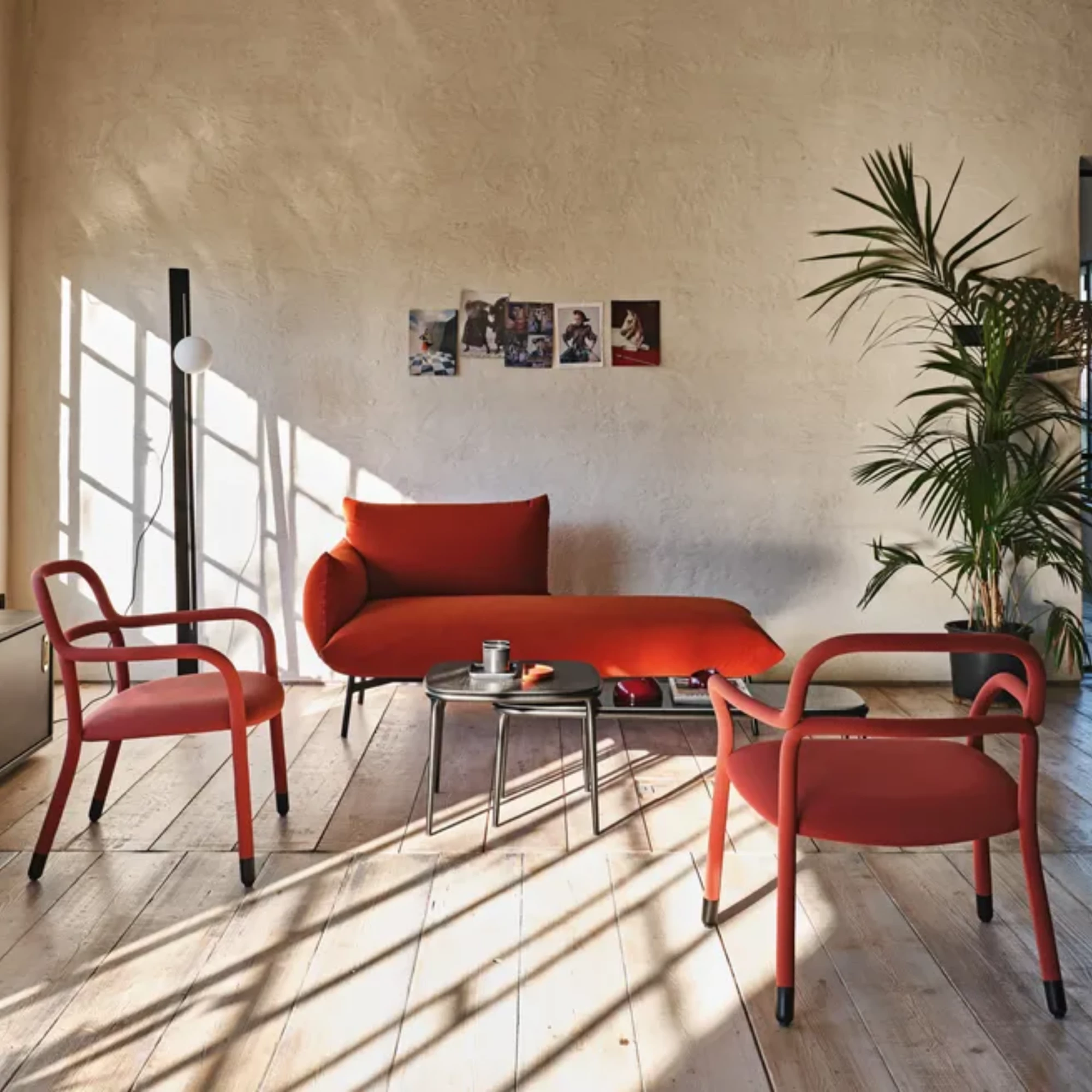 Area Dormeause DV2_DRM M TS